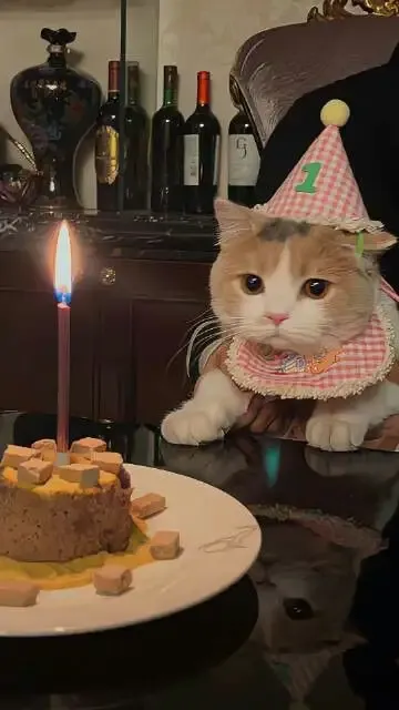  ảnh meme happy birth day 28