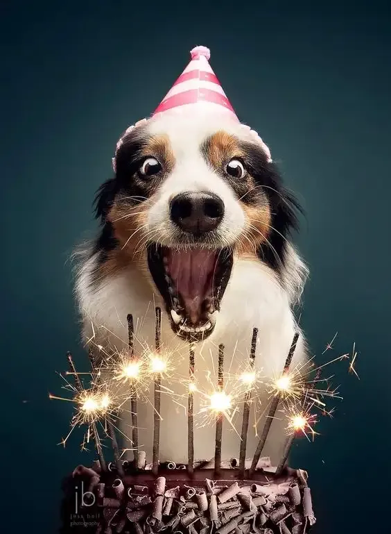  ảnh meme happy birth day 7