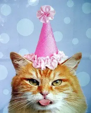  ảnh meme happy birth day 31