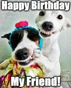  ảnh meme happy birth day 35