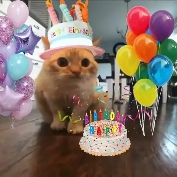  ảnh meme happy birth day 17