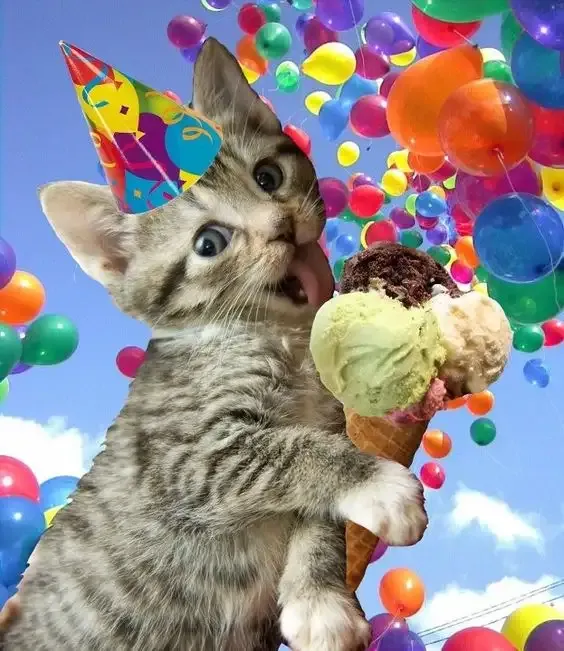  ảnh meme happy birth day 40