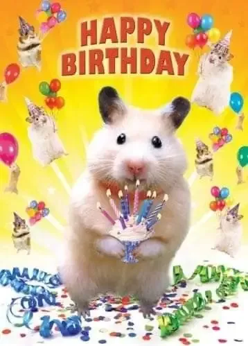  ảnh meme happy birth day 41