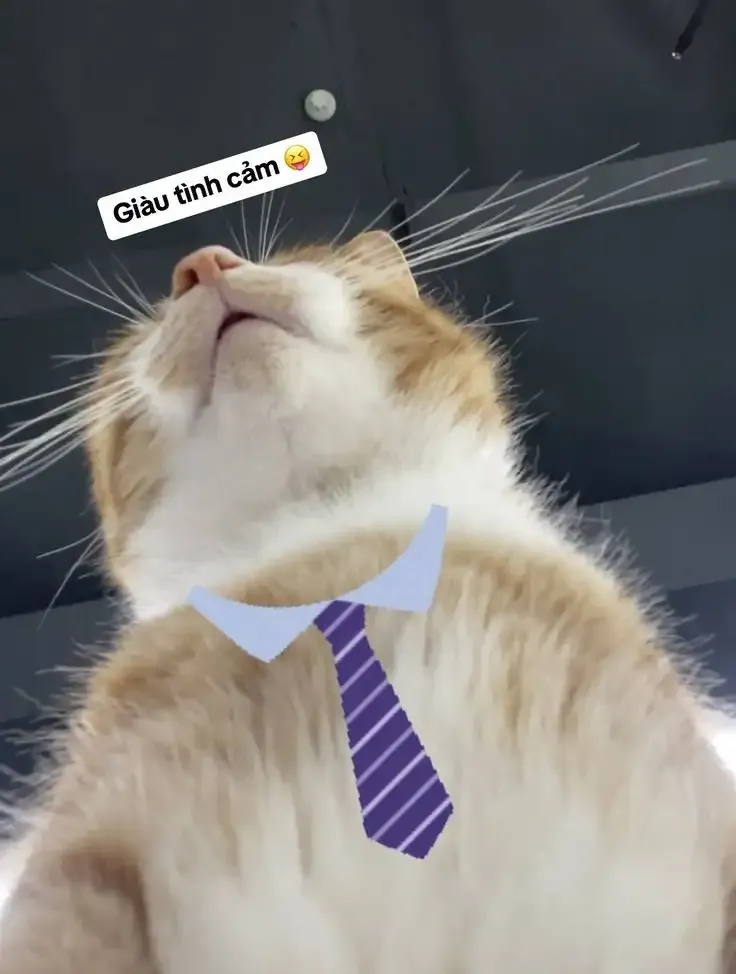  ảnh hình meme cute 27
