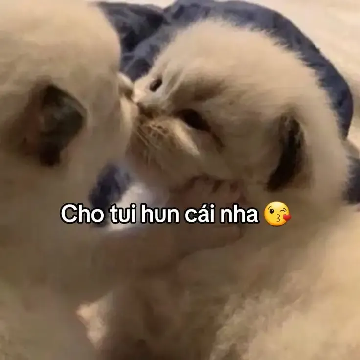  ảnh hình meme cute 28