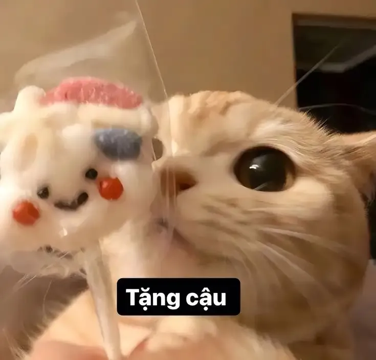  ảnh hình meme cute 31