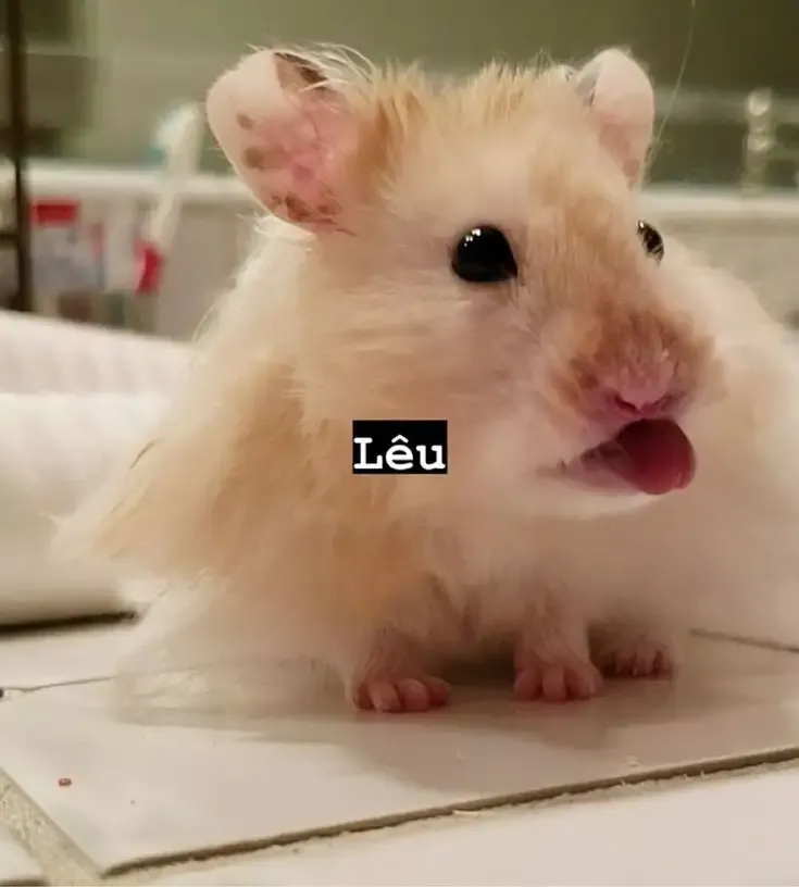  ảnh hình meme cute 32