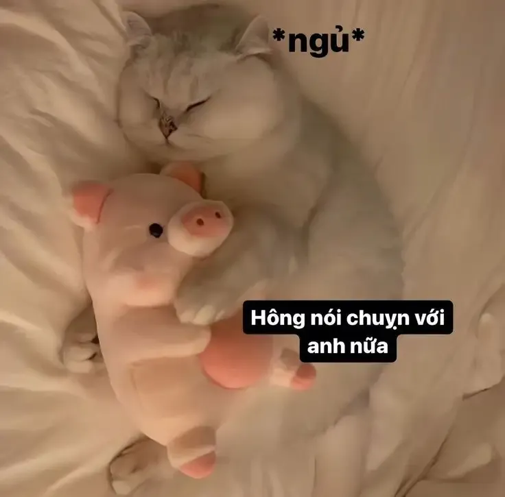  ảnh hình meme cute 37
