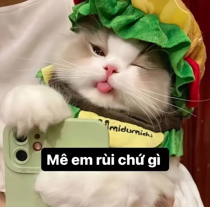  ảnh hình meme cute 39