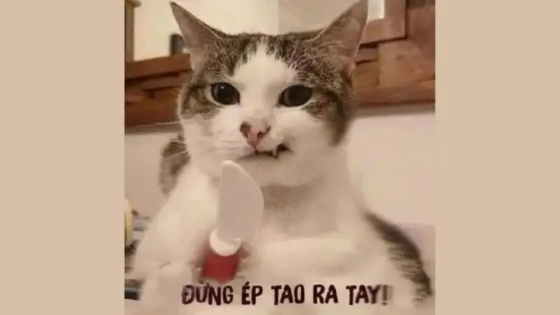  ảnh hình meme cute 11