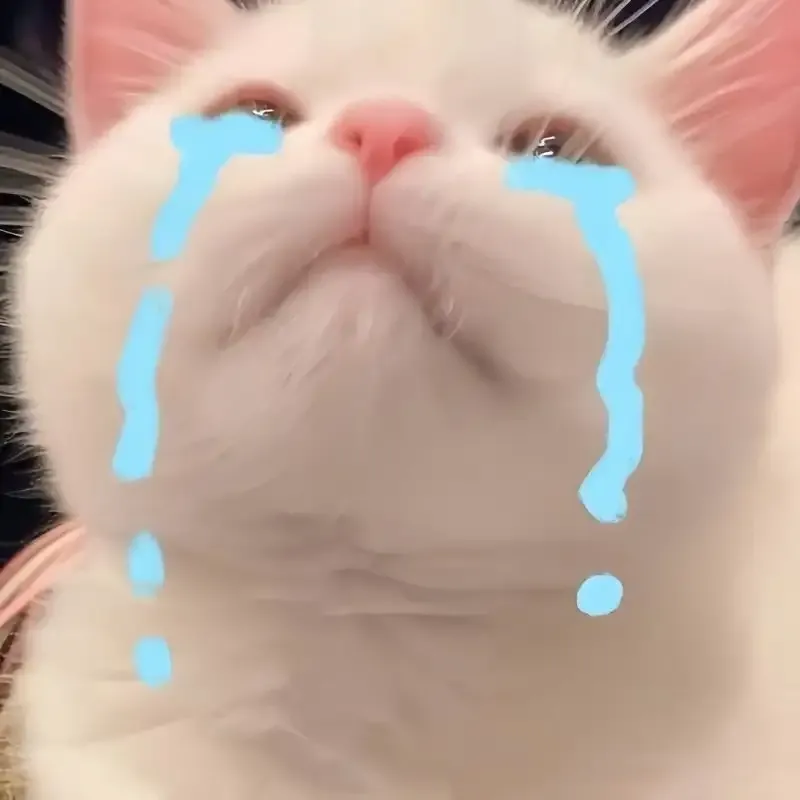 ảnh hình meme cute 13