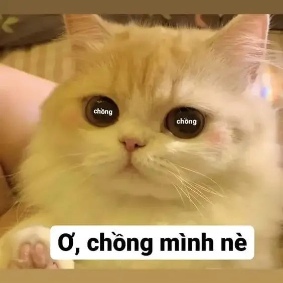  ảnh hình meme cute 42