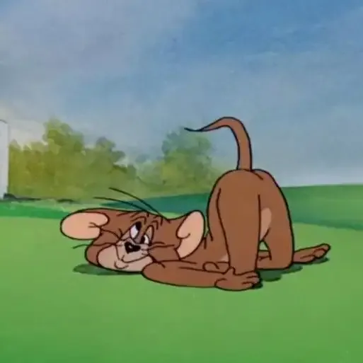  ảnh Jerry meme 9