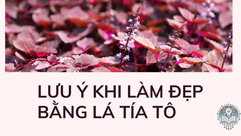 làm đẹp bằng lá tía tô 5