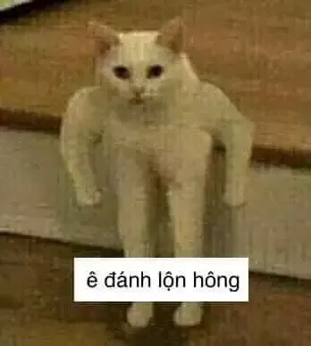  ảnh meme bựa 13