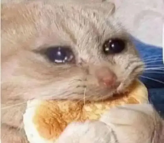  ảnh meme bựa 14