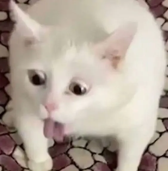  ảnh meme bựa 38