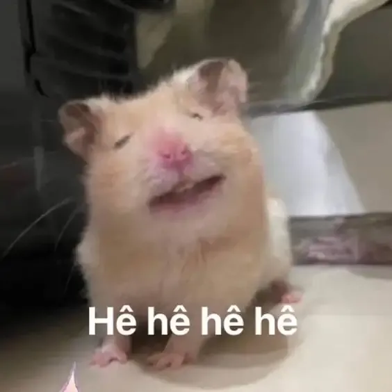  ảnh meme bựa 15
