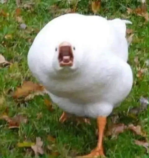  ảnh meme bựa 23