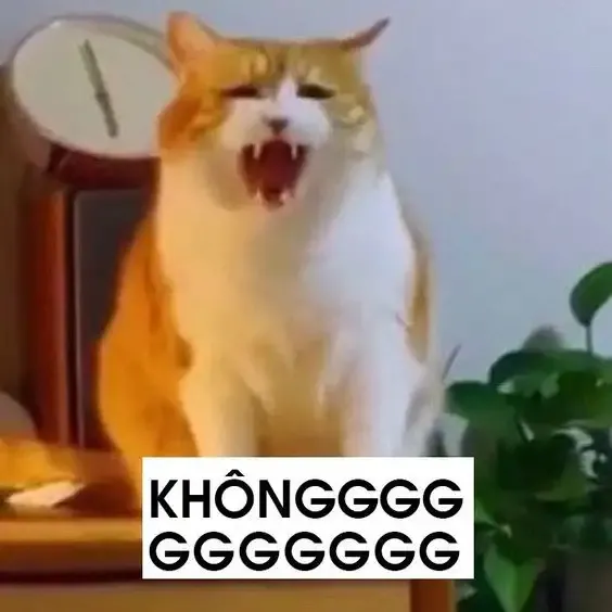  ảnh meme bựa 29