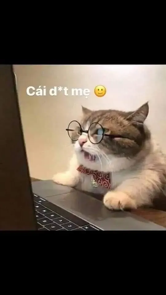  ảnh meme bựa 35