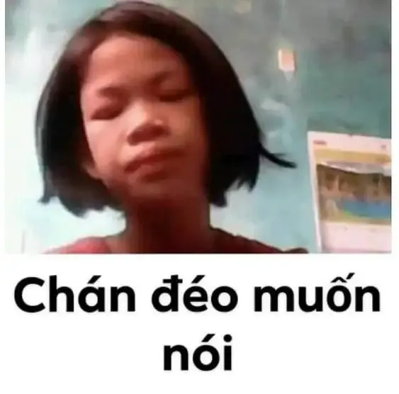  ảnh meme chê 15