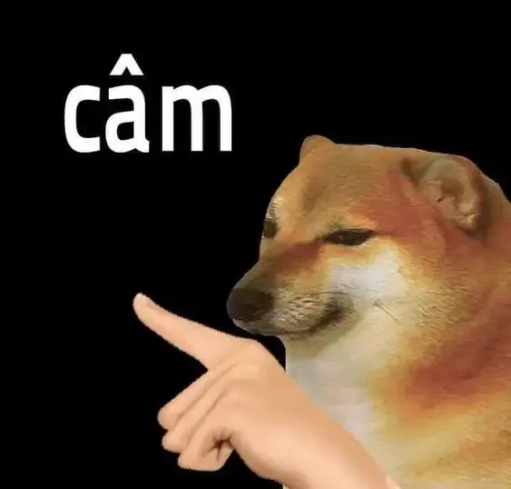  ảnh meme chê 3