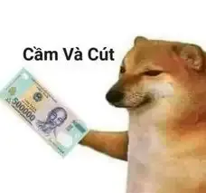  ảnh meme chê 25