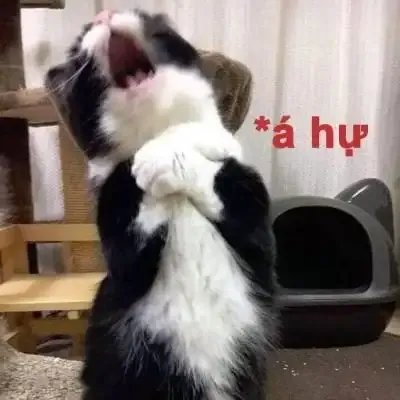  ảnh meme chê 32