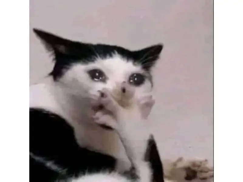  ảnh meme chê 9