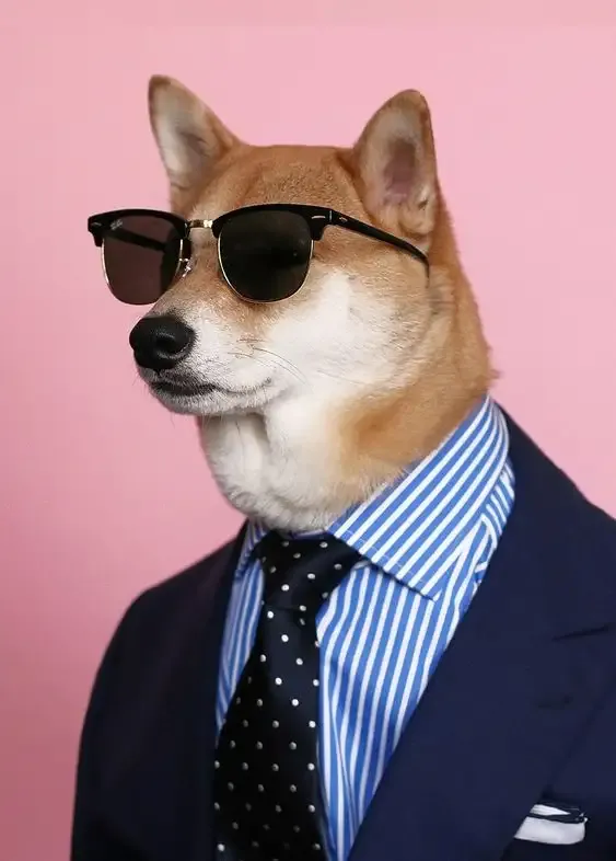 ảnh meme cheems 10
