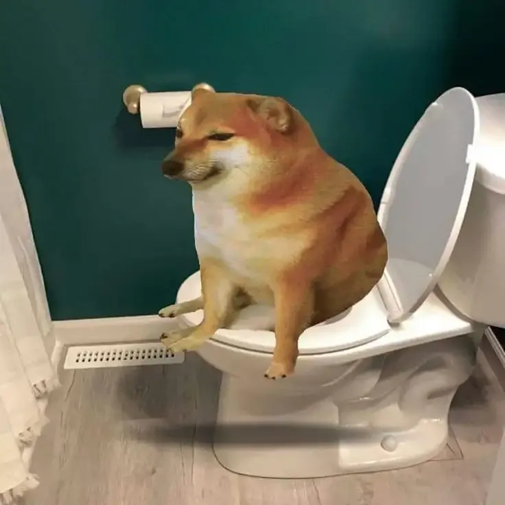 ảnh meme cheems 11
