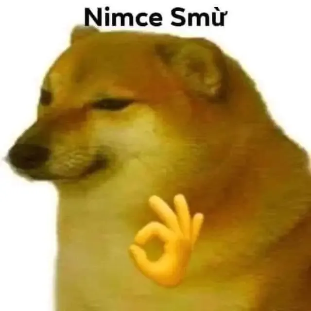 ảnh meme cheems 13