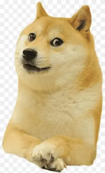ảnh meme cheems 14