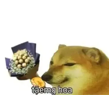 ảnh meme cheems 38