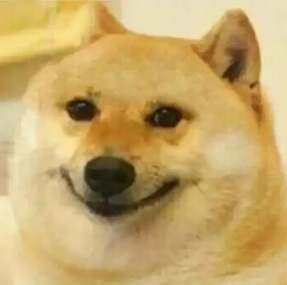 ảnh meme cheems 16