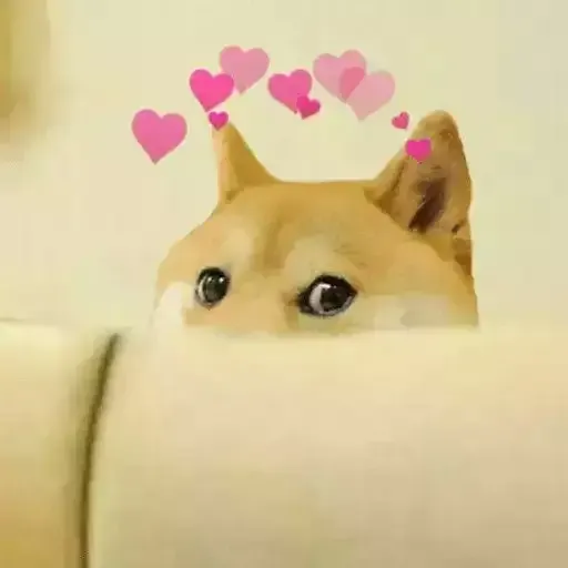 ảnh meme cheems 20