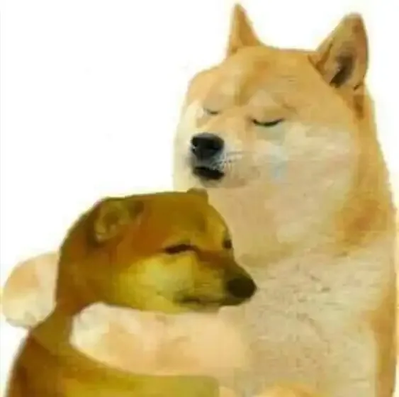 ảnh meme cheems 22