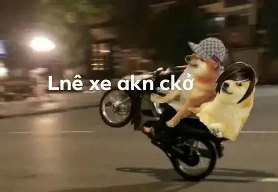 ảnh meme cheems 47