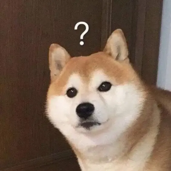 ảnh meme chó 13