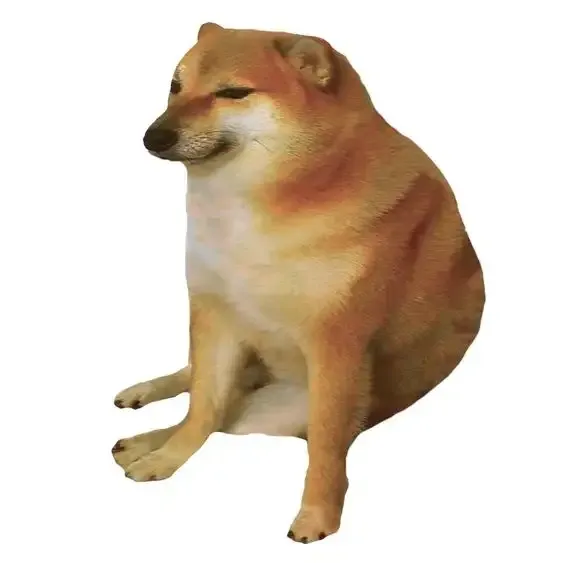 ảnh meme chó 19