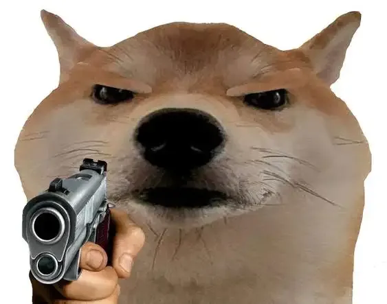 ảnh meme chó 47