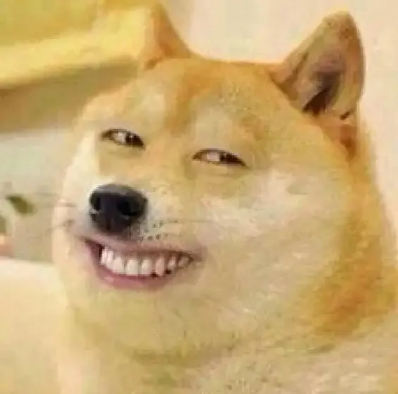 ảnh meme chó 24