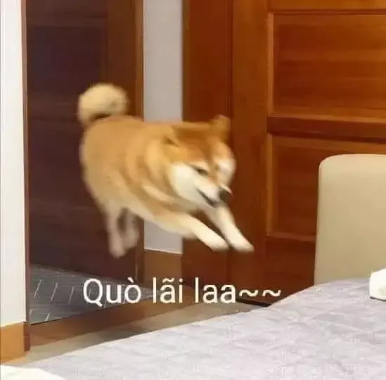 ảnh meme chó 49