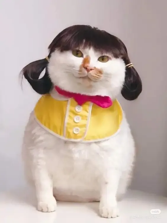 ảnh meme cười 23