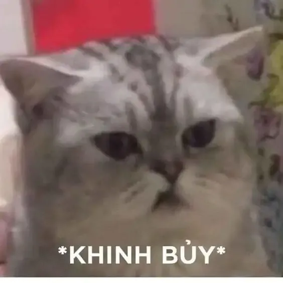 ảnh meme cười 26