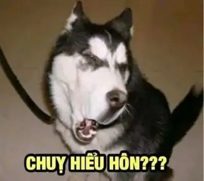 ảnh meme cười 27