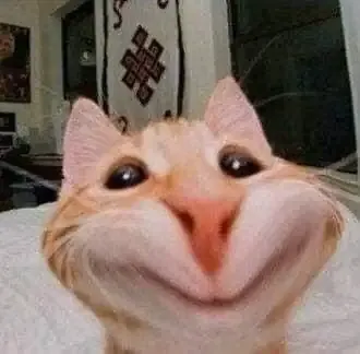 ảnh meme cười 13