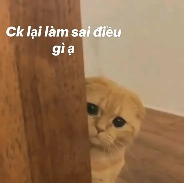 ảnh Meme Cute 5