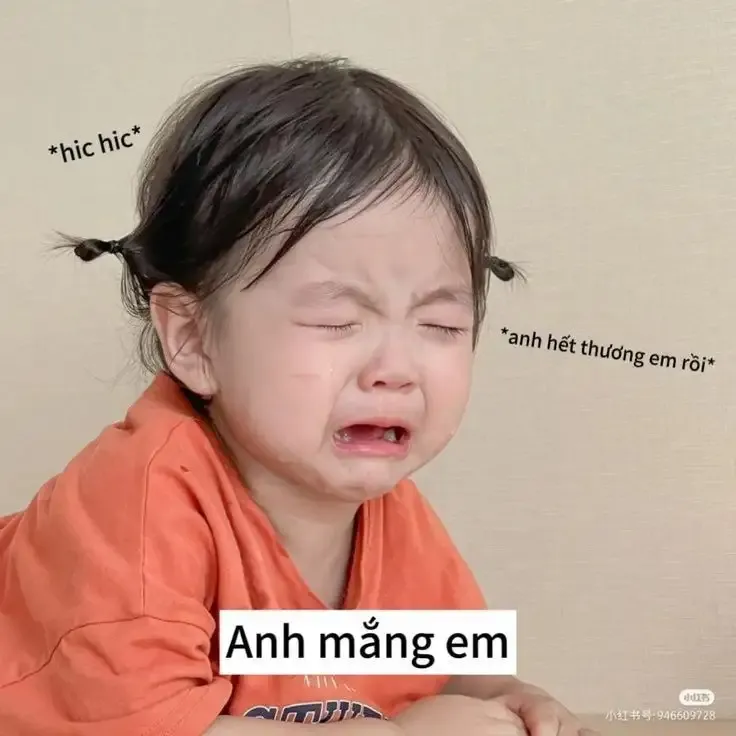 ảnh Meme Cute 29